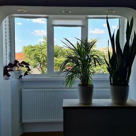 Apartment In Dristor Area *